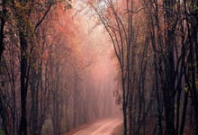 DeepSeek写的?成都官宣文案中漏写廖力生母队东莞同舟南城.