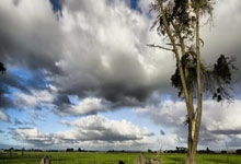 F1中国大奖赛落幕人民日报.