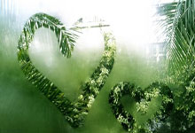 奖品是手表,贾一凡/张殊贤夺瑞士公开赛冠军,颁奖跑出一头牛.