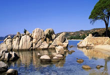 与中国继续紧密合作——专访世界田联主席塞巴斯蒂安·科.